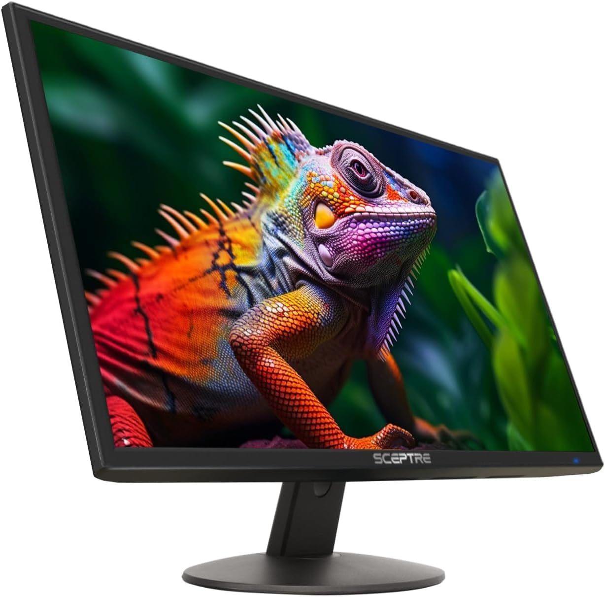 24 - Inch Professional LED Monitor - Prostash - 